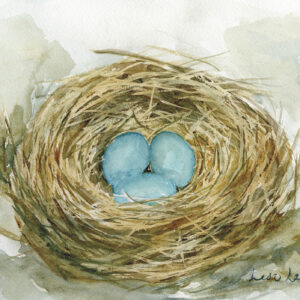 Robin's Nest