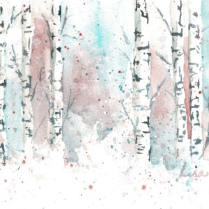 Winter Birch Trees