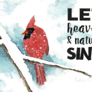 christmas cardinal
