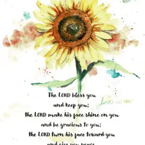 Sunflower Numbers 6