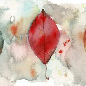 Fall Birch Leaves