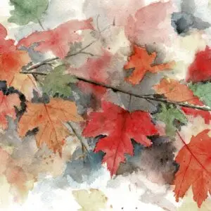 Fall Maple Branch