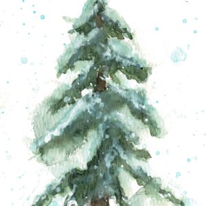 snowy winter pine tree