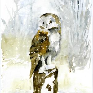 Snowy Owl