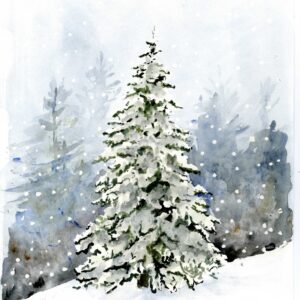 snowy pine forest
