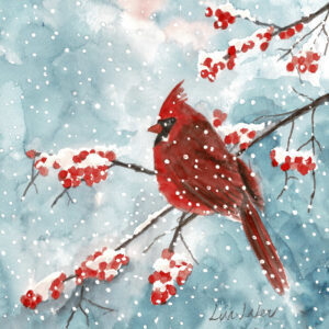 winter watercolor cardinal
