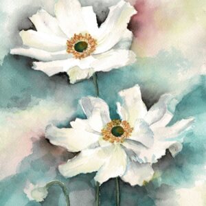 White Anemone