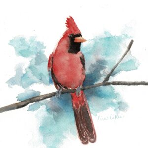 Cardinal