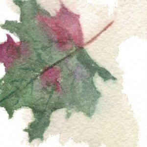 Bookmarker: Fall Maple Leaves